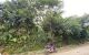 thum-m_LFaW7rOV9c_1668226648.jpg