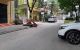 thum-m_pydZPENr3u_1668430464.jpg