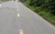 thum-8987142_jd7pDE2shZ_1668478221.jpg