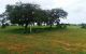 thum-8987233_dQDNbSRi1P_1668481051.jpg