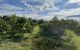 thum-8987709_e5uJ8W3Ibg_1668498447.jpg