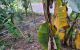 thum-8988114_CuIPydBv8S_1668527670.jpg