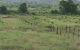 thum-8989026_9NrqD2YIRU_1668556532.jpg
