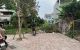 thum-8990136_oOb1EhrGZm_1668588913.jpg