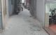 thum-m_lTAzajkxNW_1668568517.jpg