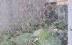 thum-8991433_DnjkegFlMx_1668669764.jpg
