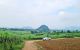 thum-8991664_jzCE76iKp9_1668675055.jpg