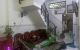 thum-8991943_EljZ0NTBcS_1668699852.jpg