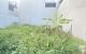 thum-m_m3qtG4CvXD_1668654115.jpg