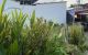 thum-8993018_ybZQLmdCe3_1668730726.jpg