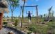 thum-8993175_uVzIYWBekj_1668737415.jpg