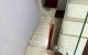 thum-8993522_idFfsaXNxj_1668745024.JPG