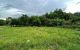 thum-8993673_ksRaU9fe4N_1668755898.jpeg