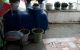 thum-8993838_alQJIqMNUb_1668763851.jpg