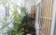 thum-8993975_lWc60zZHsx_1668784715.jpg