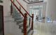 thum-m_nGsUriLzXO_1668745082.jpg