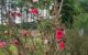 thum-m_yzvTPNEfY2_1668758779.jpg