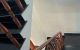 thum-8994741_82aDEMkPV4_1668816690.jpg