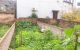 thum-8995005_aiq0fev84R_1668828181.jpg