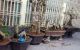thum-8996777_9trLMvoWge_1668911765.jpg