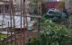 thum-8996809_WMNgiCnTpe_1668914181.jpg