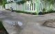 thum-8997014_tVy8SzCiHd_1668955038.jpeg