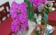 thum-m_4yHsKOYNCE_1668906900.jpg