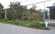thum-8998063_7QFl1txsHJ_1668995380.jpg