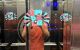 thum-8998983_soOEhfVHAl_1669048230.jpeg