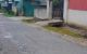 thum-9000635_kfEGrhyxcu_1669098118.jpg