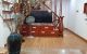 thum-m_jYfEW0RUGb_1669116383.jpg