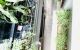 thum-9002977_Md2QwxHiG8_1669192124.jpg