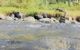 thum-m_Hvjknpr34A_1669194303.jpg