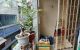 thum-m_kBO0UlIxMu_1669175075.jpg