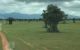 thum-9004120_hydEjauLGB_1669260841.jpg