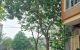 thum-m_O4dFwQ8vZB_1669273132.jpg