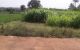 thum-9006122_GsUDxdgoNm_1669340771.jpg