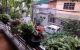 thum-m_rZ0wikqVCp_1669393091.jpg
