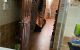 thum-9008021_NVBaMZXym6_1669418714.jpg