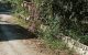thum-9008557_OkSCQ31wGn_1669452171.jpg