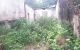 thum-9009601_8BNYa1M9xc_1669509006.jpg