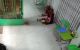 thum-9011819_KokCfqwJTR_1669607492.jpg