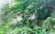 thum-9012436_OXTY2LpmH3_1669645122.jpg