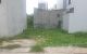 thum-9013506_CU3PbBzeDp_1669686313.jpg