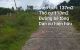 thum-9013511_hRSo5mxwiX_1669686635.jpg