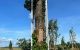 thum-9013903_5ZaQbUDFv0_1669708847.jpg