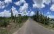 thum-9014005_4HMlpKBr1n_1669725816.jpg