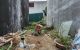 thum-9014535_1Cq4HYsZxh_1669865319.jpg