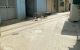 thum-m_LJClX3khVG_1669883541.jpg
