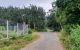 thum-9014975_un9WN1cBqU_1669966168.jpg